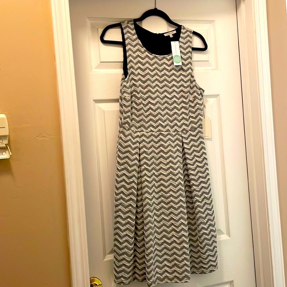41 Hawthorn Jace Chevron Print Dress NWT